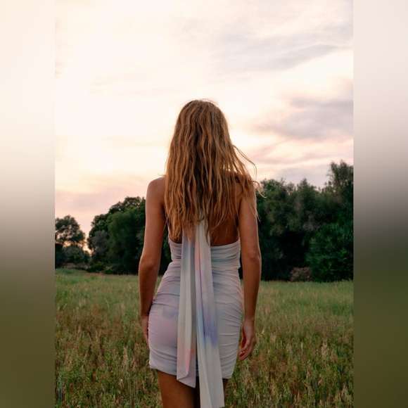 Zara Multicolor Short Printed Tulle Dress - Picture 3 of 9